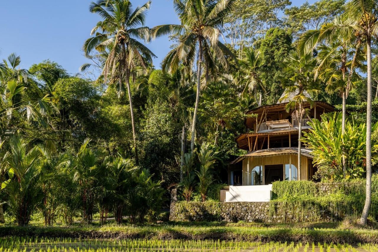 Hotel Eco Six Bali à Tampaksiring Extérieur photo